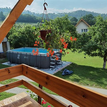 Villa Stara Etno Kuca Radonjic Guča Exterior foto