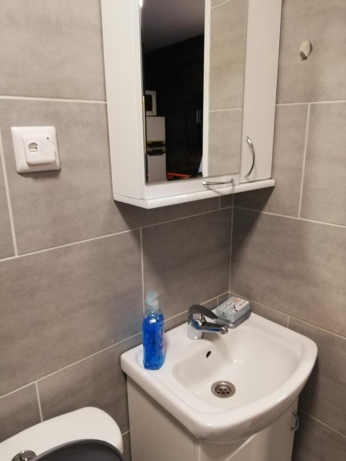 Villa Stara Etno Kuca Radonjic Guča Zimmer foto