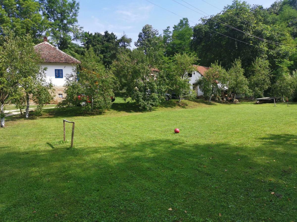 Villa Stara Etno Kuca Radonjic Guča Exterior foto