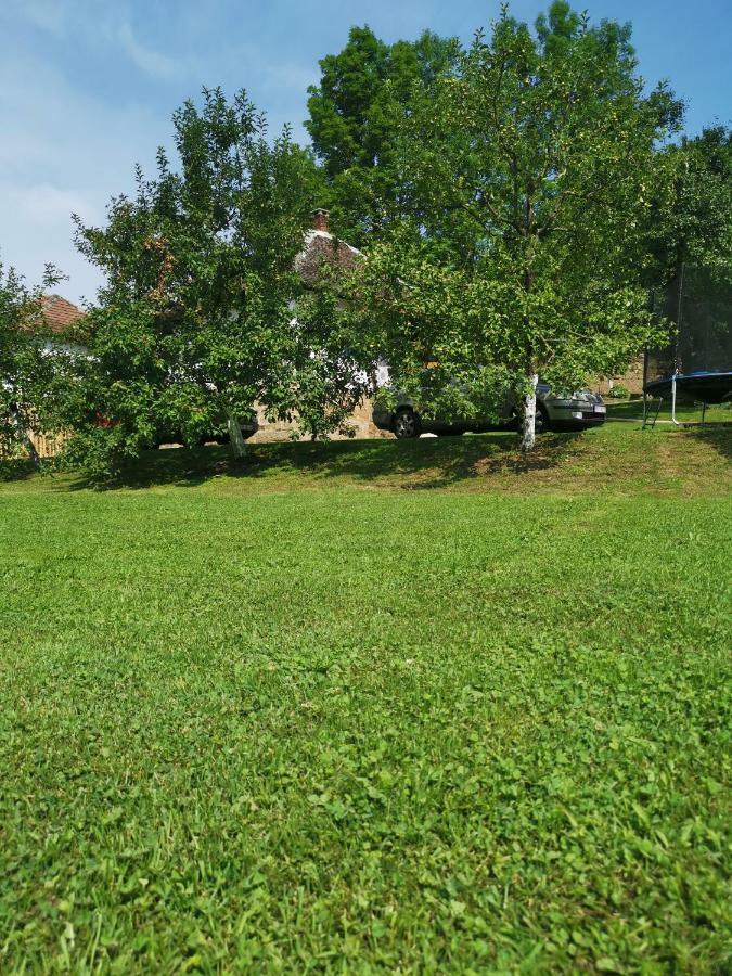 Villa Stara Etno Kuca Radonjic Guča Exterior foto