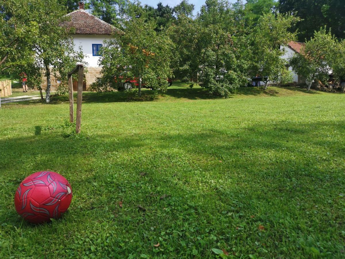 Villa Stara Etno Kuca Radonjic Guča Exterior foto