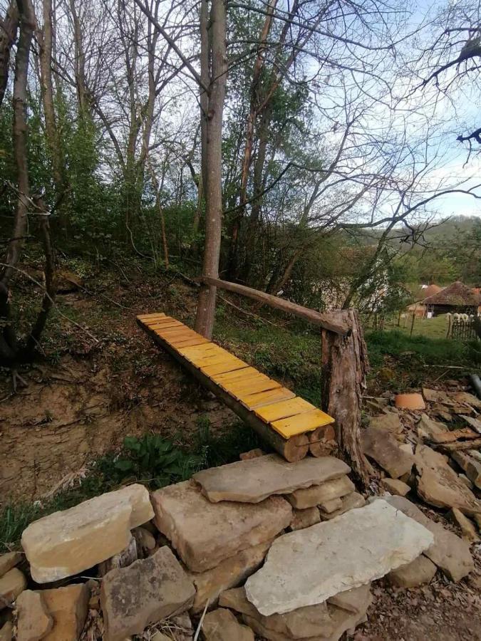 Villa Stara Etno Kuca Radonjic Guča Exterior foto